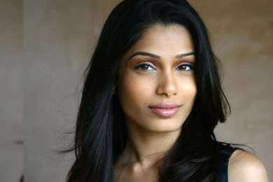 Wallpapers Desktop Of Bollywood   Wallpapers Animal Hd