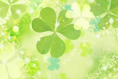 Flowers Luster Surface Radiance Clover