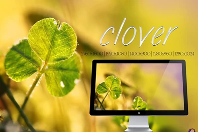 Clover Wallpapers By XhoOp On DeviantArt