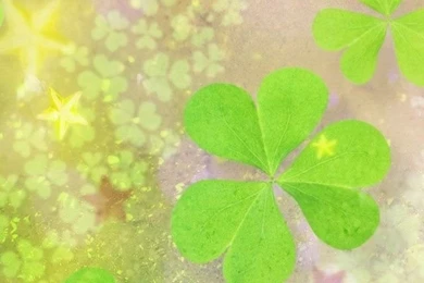 Clover Leaves 2 iPhone 5s Wallpapers Download
