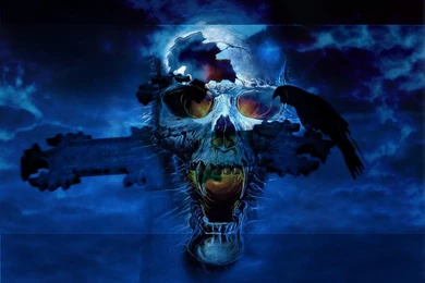 Skull Wallpapers >> Backgrounds With Quality HD