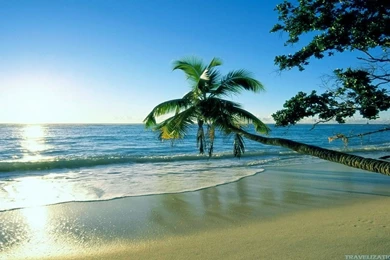 Cool And Awesome Summer Wallpapers