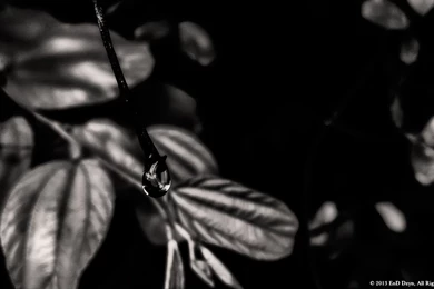 Black And White HD Wallpapers EnD Dzyn