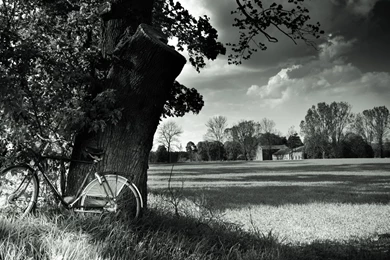 Beautiful Girl Holding A Camera   Black And White HD Wallpapers