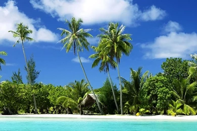 Awesome Noon On Tropical Beach Wallpapers   Beach Wallpapers