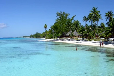 Tropical Desktop Backgrounds   Widescreen HD Wallpapers