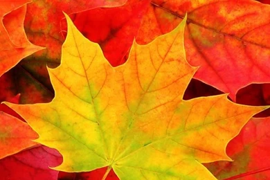 Desktop Wallpapers On Pinterest