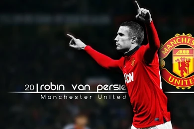 Robin Van Persie Dutch Footballer Profile   Sports Players