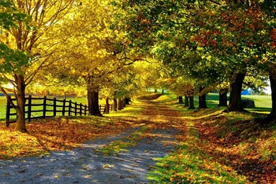 Fall Computer Wallpapers, Desktop Backgrounds