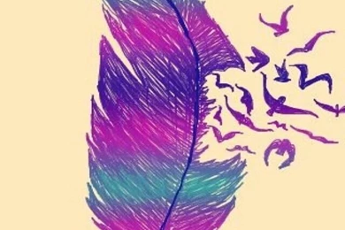 GIRLY Feather Amd Bird Wallpapers (phone) Backgrounds ...