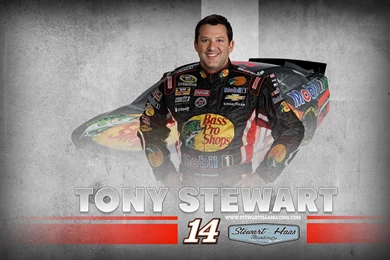 16392) Horse Android Wallpapers Attachment   WalOps.com