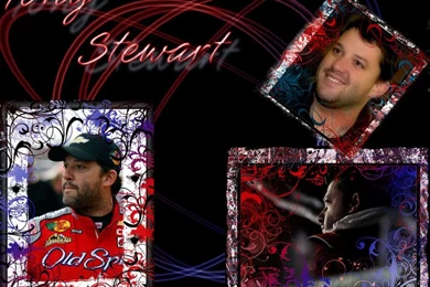 22737) Tony Stewart Widescreen HD Wallpapers   WalOps.com