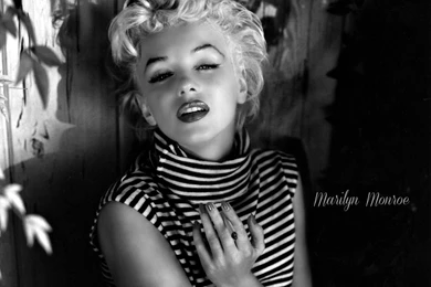 MARILYN MONROE WALLPAPER   (