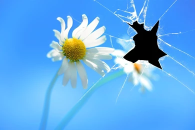 Windows 8 Stunning Wallpapers