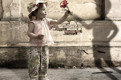 Imaginary Friend Wallpapers   (