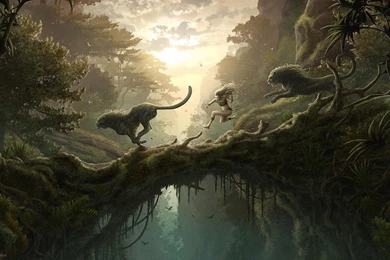 Best Photographs Of Imaginary World