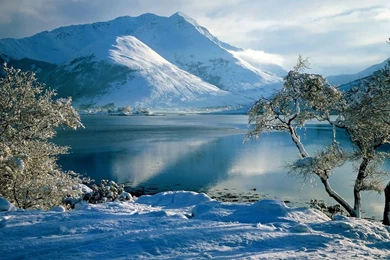 Desktop Wallpaper Backgrounds Free Download Best HD Desktop ...