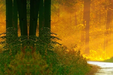 NatureWallpaper.rocks