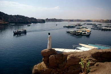 Life Giving Nile River Pictures   Water Grabbers   National Geographic