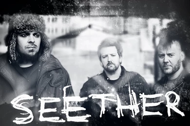 Seether By Smashingdaisies On DeviantArt
