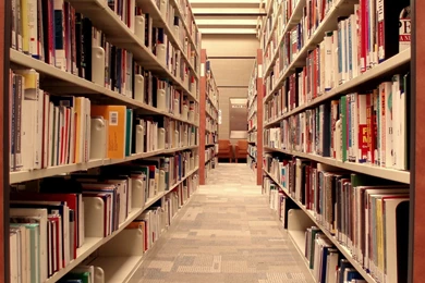 Library Books Shelves.jpg