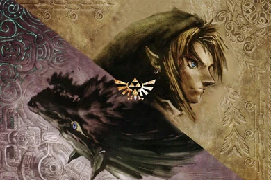 Legend Of Zelda Twilight Princess Wallpapers » WallDevil   Best ...