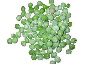 Search No Backgrounds   Open Fotos