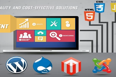 A Web Development Company