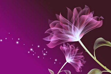 Flowers Wallpapers Pink Love Wallpapers