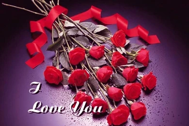 Love Flowers Wallpapers 2   Crazy Frankenstein