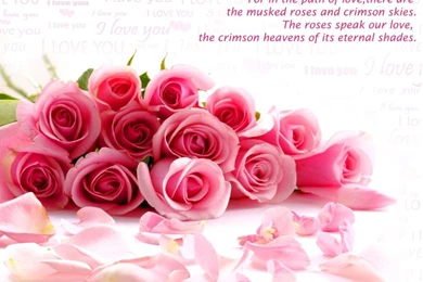 Pink Flower Wallpapers Of Love Quote & You Like Love Flower Wallpapers