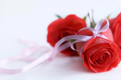 Rose Love Flower Desktop Wallpaper.jpg