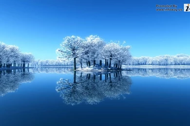 Winter Hd Images   Photo 111 Of 331