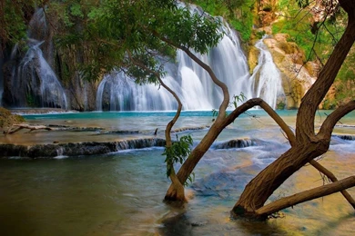 Beautiful Nature Free HD Wallpapers.jpg