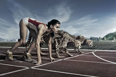 1366x768 Racing The Cheetah Desktop PC And Mac Wallpapers