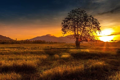 YouWall   Beautiful Sunset Wallpapers   Wallpaper,wallpapers,free ...