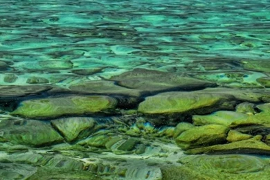 Water Bungalows iPhone 5 Wallpapers