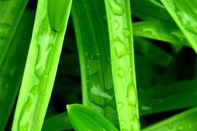 35 Stunning iPhone 5 Wallpapers