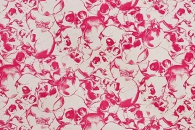 Pink Skull Wallpaper, Meg Mathews