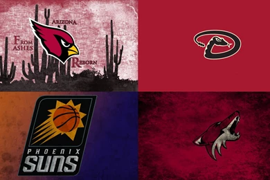 I Wanted A Backgrounds For My Laptop With The 4 Major AZ Sports ...