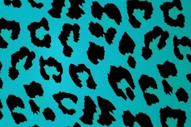 Cheetah Print Stuff On Pinterest