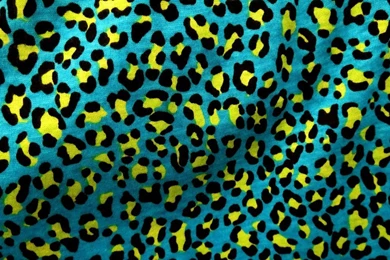 Gallery For   Colorful Cheetah Wallpapers