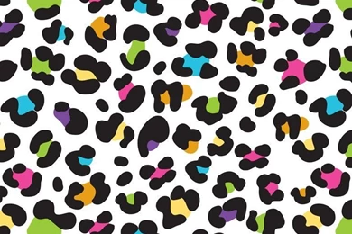 Gallery For   Colorful Cheetah Wallpapers