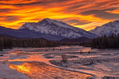 Sunset Snowy Forest   Wallpaper.