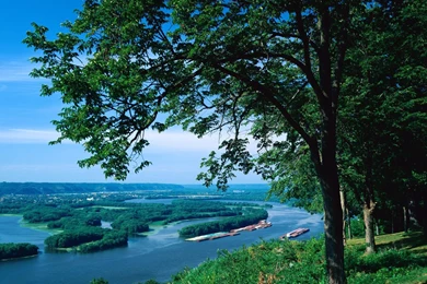 Wallpapers Rivier Animaatjes 12 Wallpapers