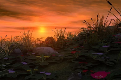 Wall Murals   Desktop Backgrounds