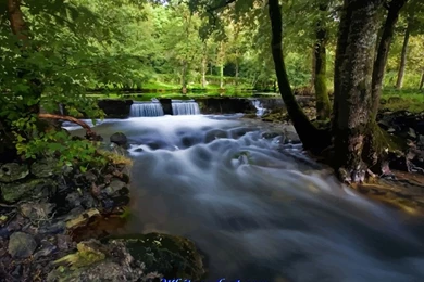 107076d1338270000 forest river wallpaper forest river wallpapers.jpg