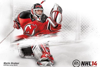 Custom NHL 14 Covers