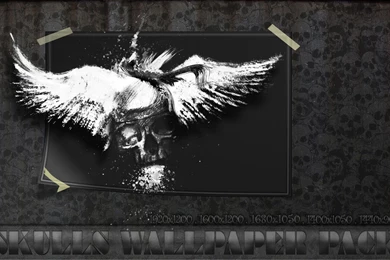 Skulls Wallpapers Pack By IanWoods On DeviantArt