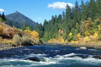 Wallpapers Rivier Animaatjes 31 Wallpapers